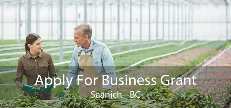 Apply For Business Grant Saanich - BC